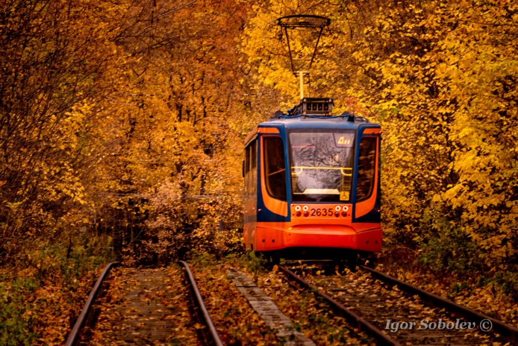 Осенний Трамвай Фото
